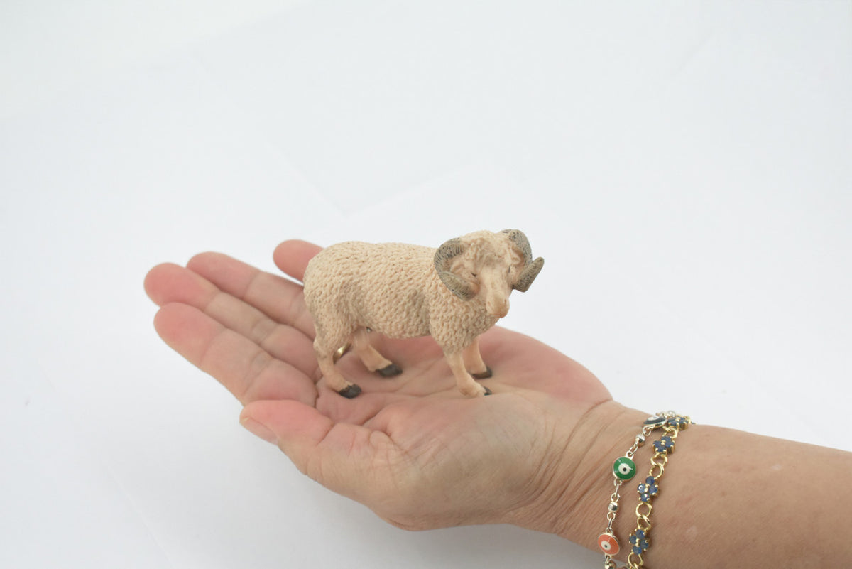 Sheep, Ram, Domestic sheep, Museum Quality, Rubber, Educational, Realistic, Hand Painted, Figure, Lifelike, Toy, Kids, Replica, Gift,    4"