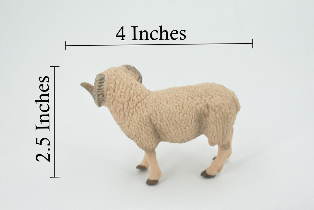 Sheep, Ram, Domestic sheep, Museum Quality, Rubber, Educational, Realistic, Hand Painted, Figure, Lifelike, Toy, Kids, Replica, Gift,    4"