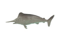 Swordfish, Broadbills, Billfish, Rubber Fish, Realistic Toy Figure, Model, Replica, Kids, Hand Painted, Educational, Gift, 2 3/4" F583 B34 