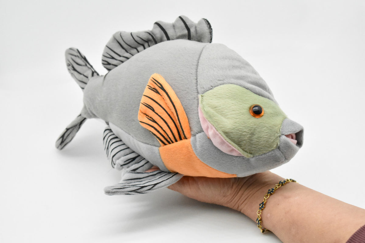 Bluegill ,Sunfish, Bream, Very Nice Plush Fish, Stuffed Animal, Educational, Toy, Kids, Realistic Figure, Gift,     12 1/2"