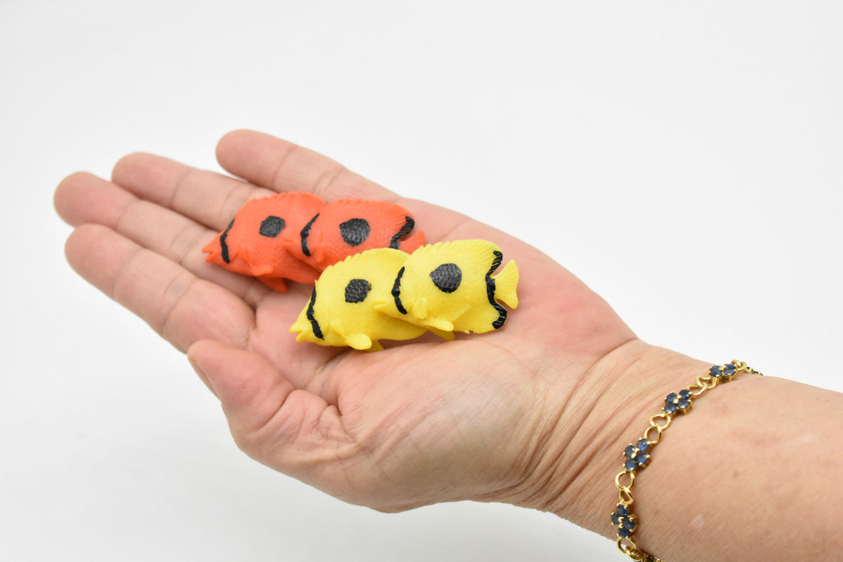 Tropical Fish Toy, Set of 2, Model, Figure, Figurine, Very Nice Quality Rubber Replica, Hand Painted     2"    CWG216 BB46