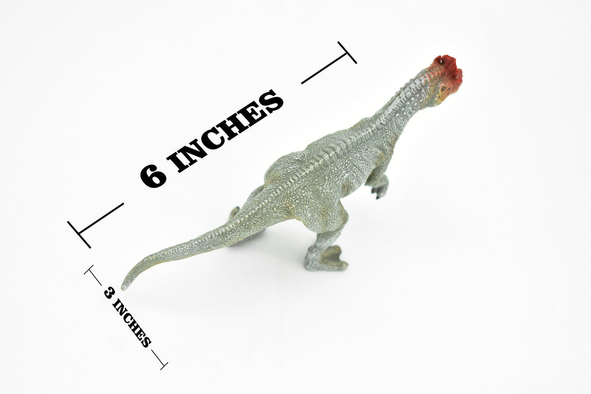 Cryolophosaurus Dinosaur Theropod dinosaur, Museum Quality, Educational, Realistic Hand Painted, Diorama Figure, Lifelike Model, Vintage Design, Toy,  6 Inches.