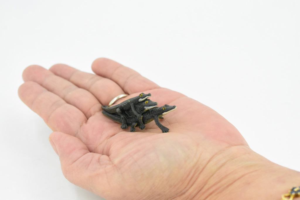 Alligator, 3 Juvenile Alligators, Rubber Toy Animal, Realistic Figure, Model, Replica, Kids Educational Gift,     2 1/2"    F1746 B77