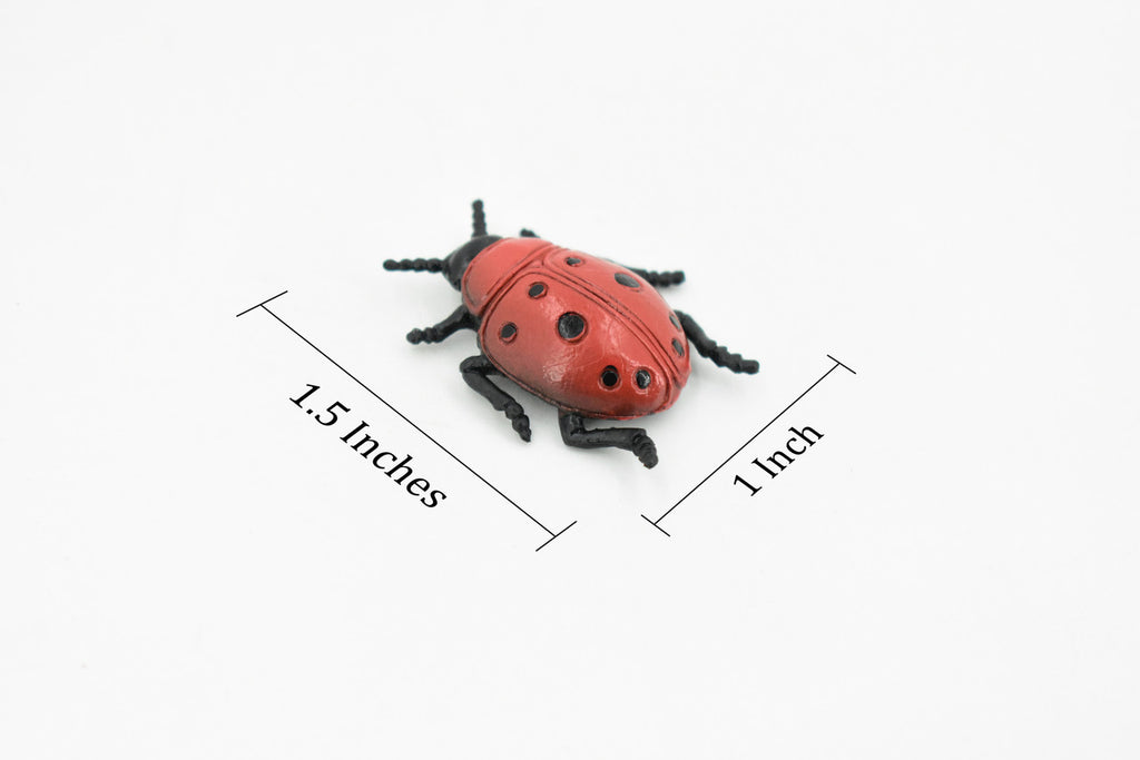 Ladybug, Rubber Insect, Toy, Realistic Figure, Model, Replica, Kids Educational Gift,     1 1/2 "      F1659 B74