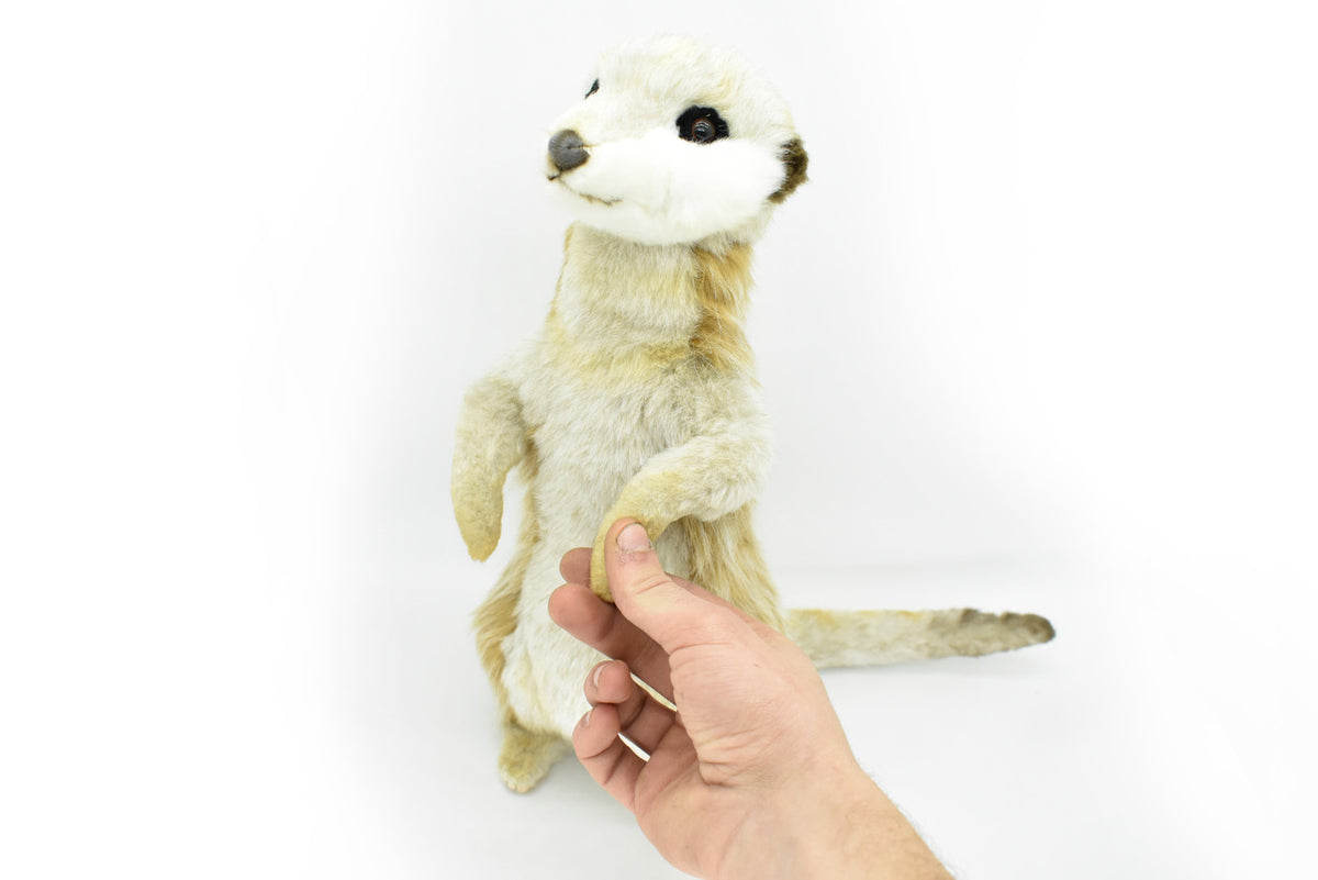 Meerkat, Sitting, Museum Quality, Stuffed Animal, Educational, Plush Realistic Figure, Lifelike Model, Replica, Gift,        14"     F781 B55