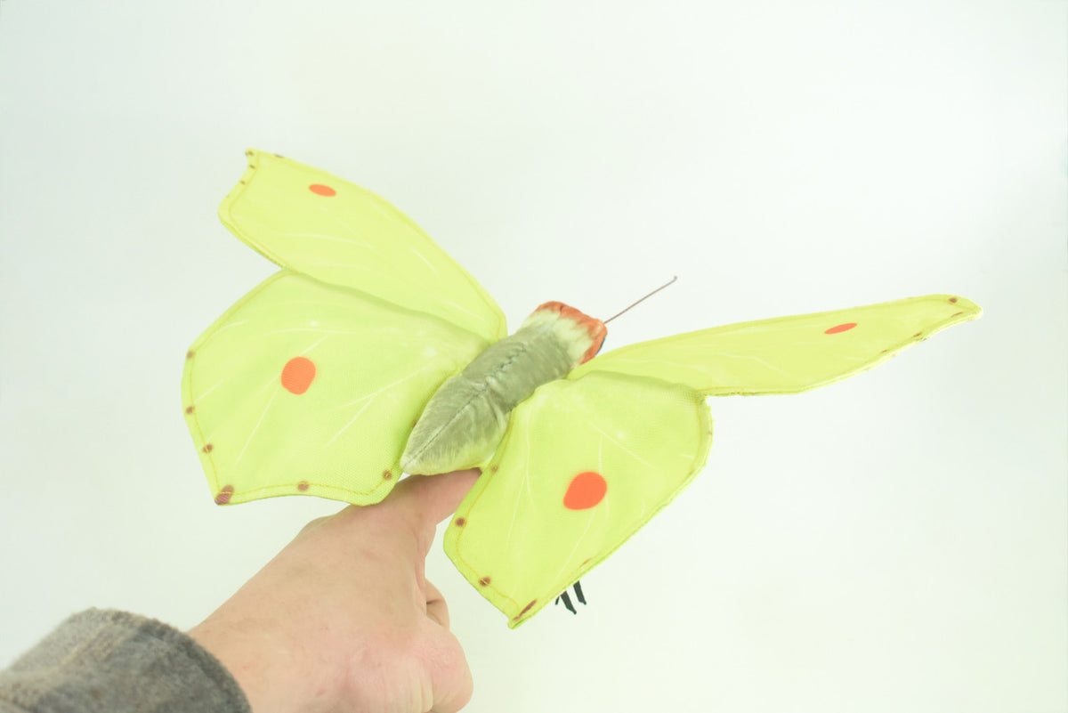 Common Brimstone Butterfly, Finger Puppet, Very Nice Plush, Insect, Realistic, Educational, Toy, Kids, Gift, 15 Inches. WR35 BB317