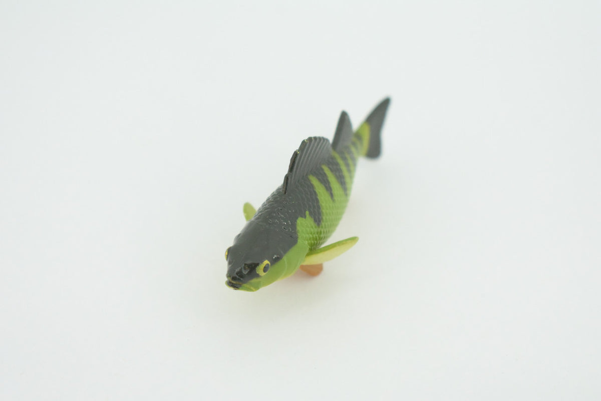 Yellow Perch, Hand Painted, Educational, Rubber Fish, Realistic Figure, Lifelike Model, Figurine, Replica, Gift,      2 3/4"    SF14 B31