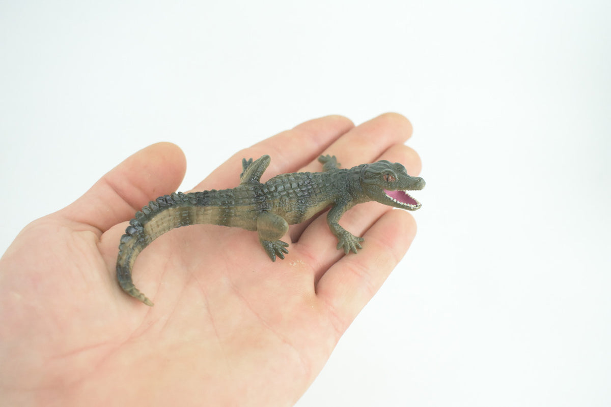 Alligator Baby, Crocodile, Museum Quality, Educational, Hand Painted, Rubber Reptile, Realistic, Diorama, Very Nice Design, Toys, Kids, Gift, 4 1/2 Inches. CH952 BB209 