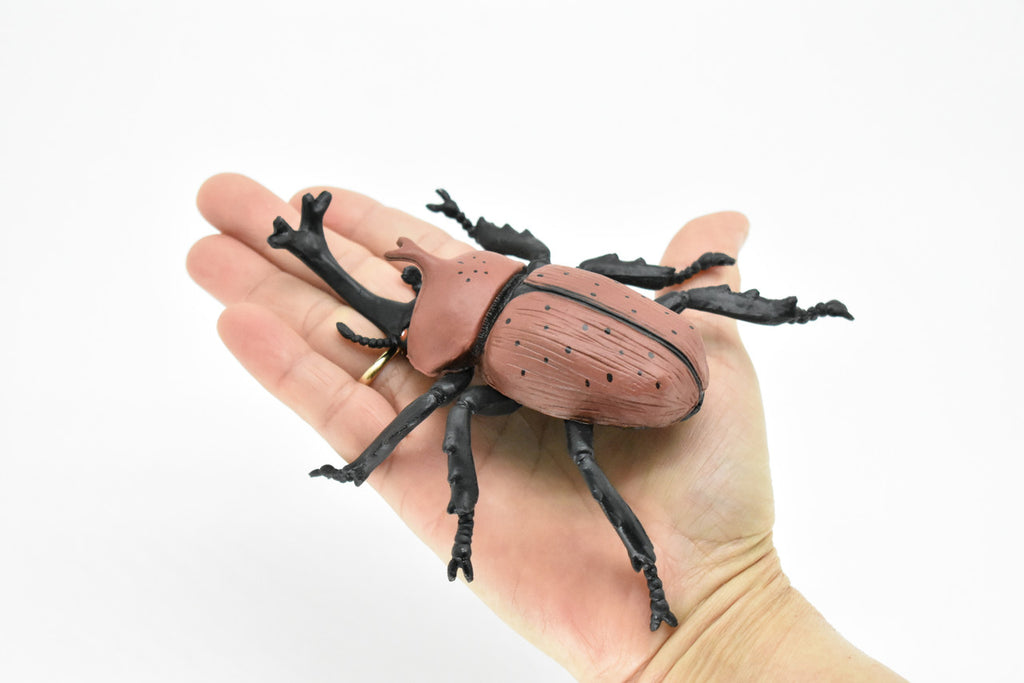 Rhinoceros Beetle, Very Nice Plastic Replica  4 1/2"   -    F2061 B133
