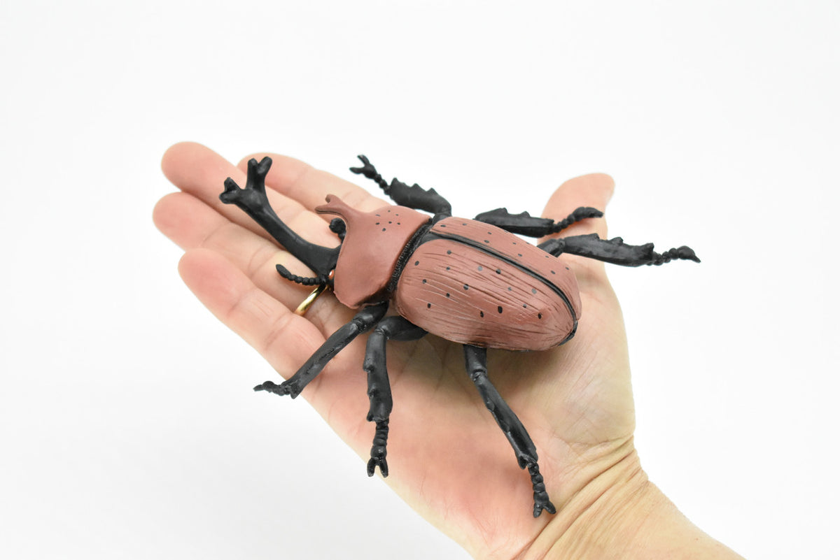 Rhinoceros Beetle, Very Nice Plastic Replica  4 1/2"   -    F2061 B133