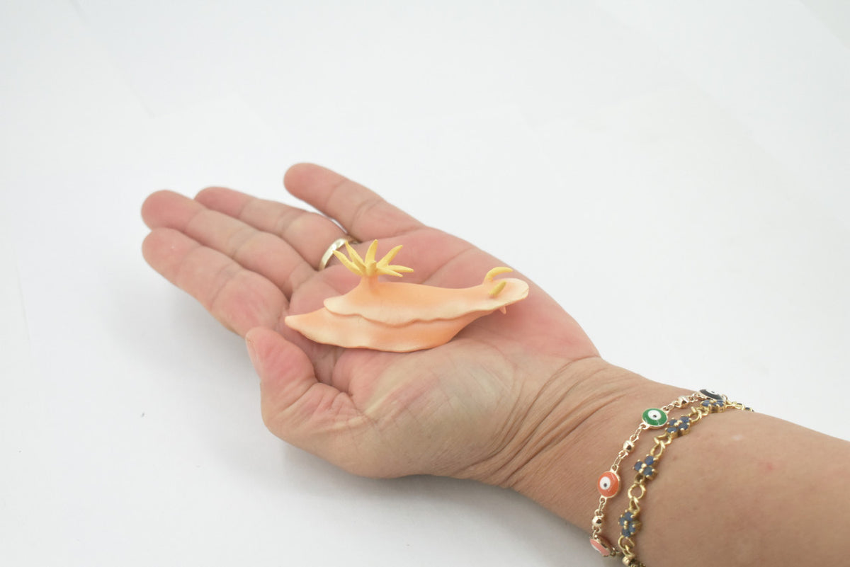 Sea Slug, Marine Mollusks, Museum Quality, Educational, Hand Painted, Rubber Gastropod, Realistic Toy, Lifelike Design, Diorama Model, Kids, Gift,    3 Inches.  