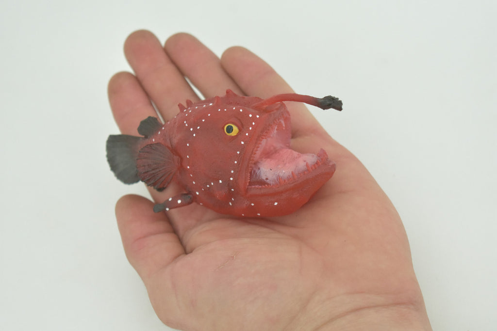 Anglerfish, Lophiiformes, Museum Quality, Hand Painted, Realistic, Solid Rubber, Animal, Figure, Model, Toy, Kids, Educational, Gift    5"     CH285 BB178