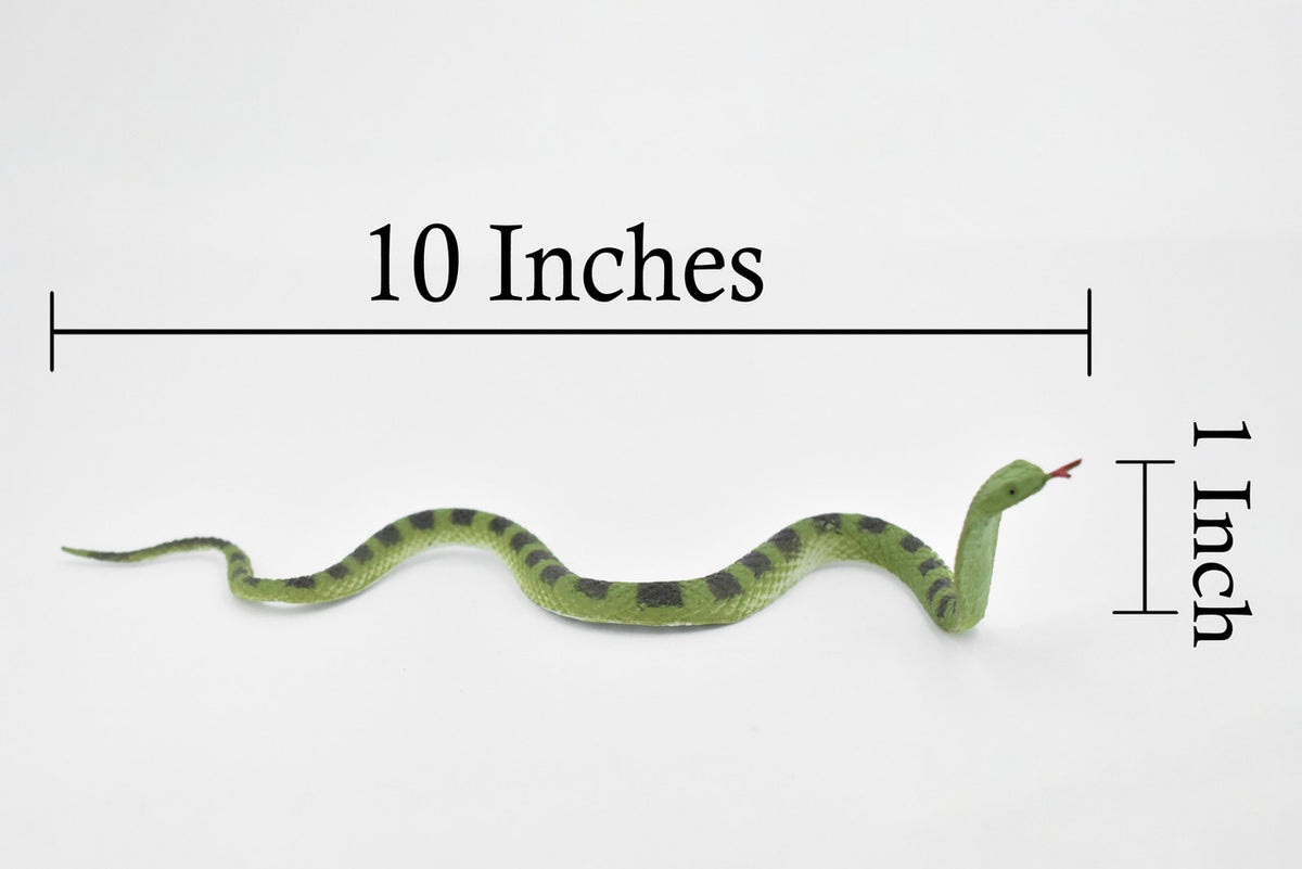 King Cobra Snake, Green, Rubber Reptile, Educational, Realistic Hand Painted, Figure, Lifelike Model, Figurine, Replica, Toy,   9 Inches 