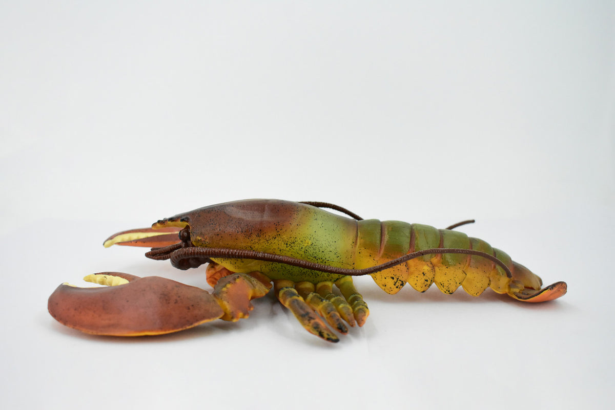 Lobster, Boston, American, Museum Quality, Rubber Crustacean, Hand Painted, Realistic Toy Figure, Model, Replica, Kids, Educational, Gift,       9"       CH163 BB111