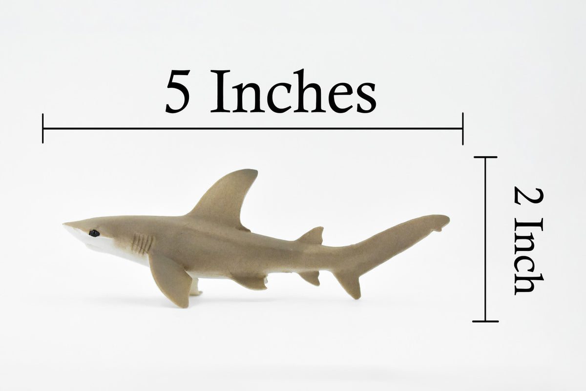 Scalloped Hammerhead Shark, Museum Quality, Educational, Rubber Fish, Hand Painted, Realistic Toy Figure, Diorama Model, Kids, Educational, 5 Inches. 