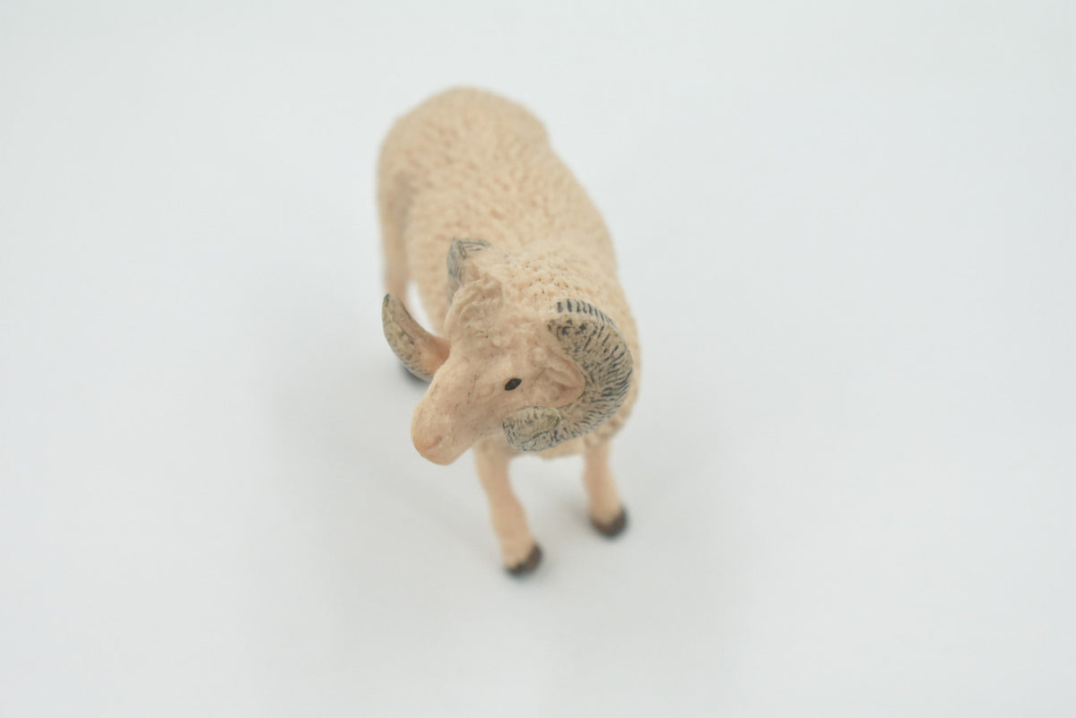 Sheep, Ram, Domestic sheep, Museum Quality, Rubber, Educational, Realistic, Hand Painted, Figure, Lifelike, Toy, Kids, Replica, Gift,    4"     CH571 BB162