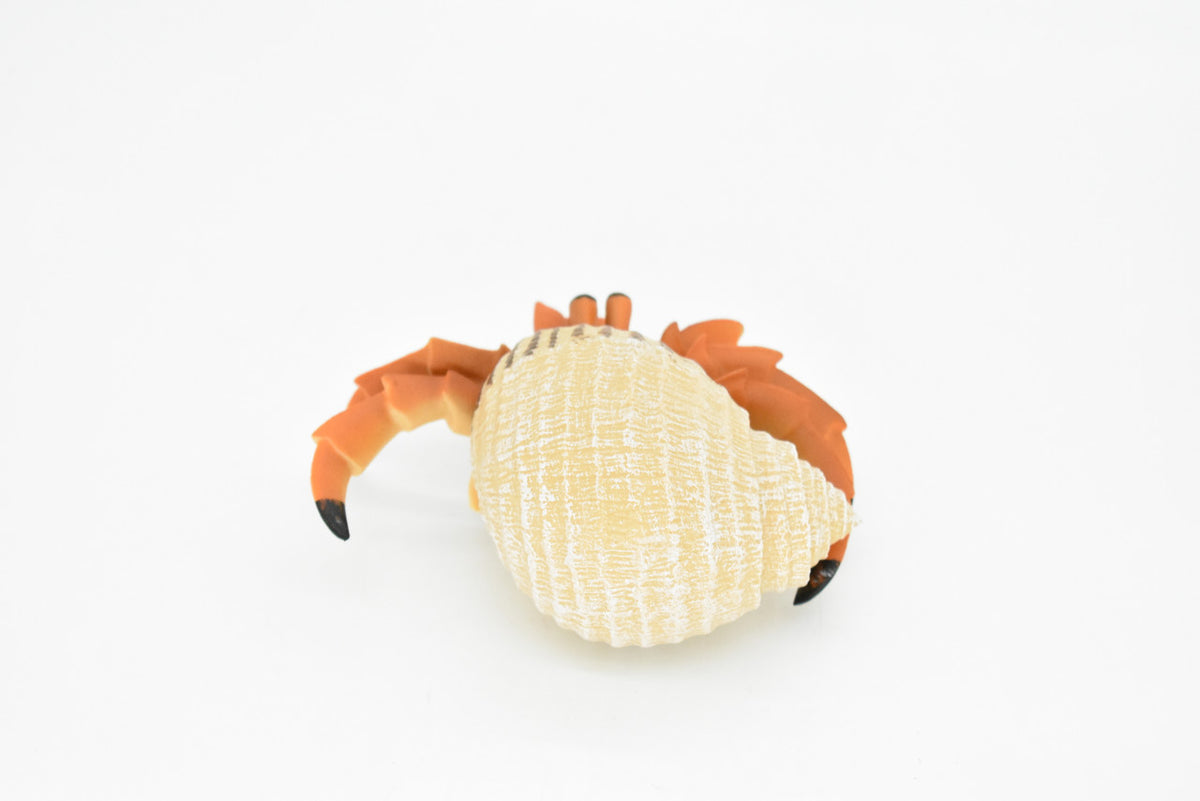 Hermit Crab Toy. Crustaceans, Museum Quality Rubber Figure, Model, Ocean, Beach, Sea, Educational, Animal, Hand Painted, Figurines 5" CH095 BB85