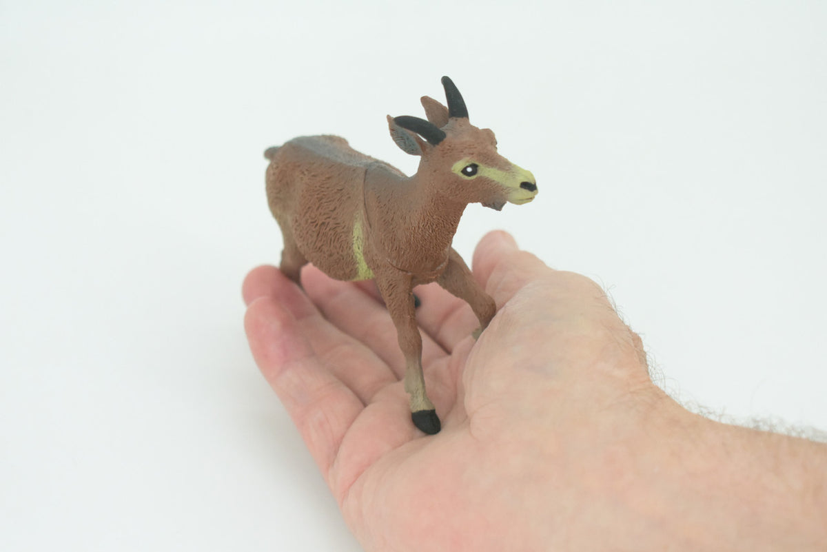Goat, Domestic Goat, Educational, Hand Painted, Plastic Animal, Realistic, Toy Figure, Model, Replica, Kids, Gift,      5"   WR20 B233