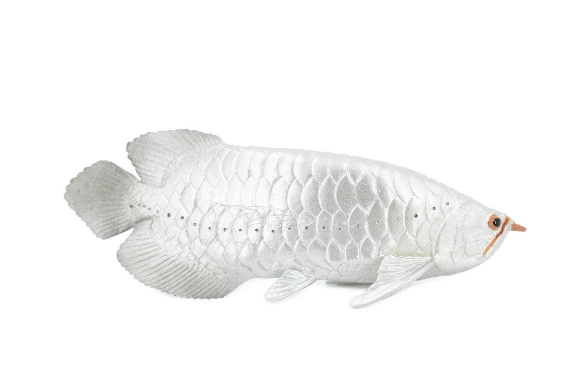 Arowana, Silver Dragon Fish, Asian Arowana, Rubber Fish, Hand Painted, Realistic Toy Figure, Model, Replica, Kids, Educational, Gift,     5"    CH334 BB133