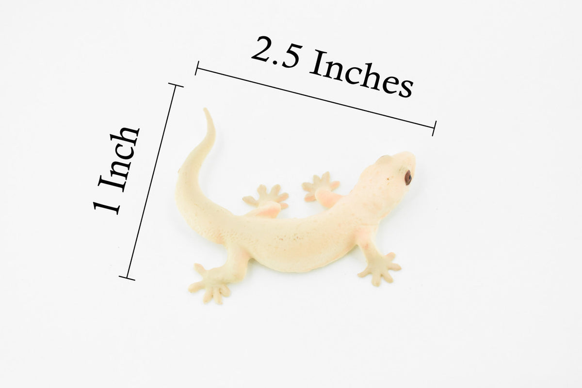 Gecko, Spiny Tailed, Strophurus ciliaris, Lizard, Reptile, Hand Painted, Realistic Toy Figure, Model, Replica, Kids, Educational, Gift,       2 1/2"     CH221 BB119