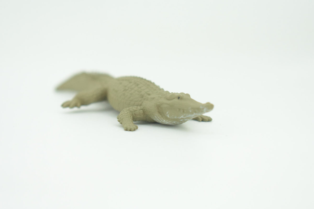 American Crocodile, Crocodylus acutus, Saltwater Crocodile, Educational, Rubber Reptile, Realistic Figure, Lifelike, Gift,    4 1/4"    SF41 B15