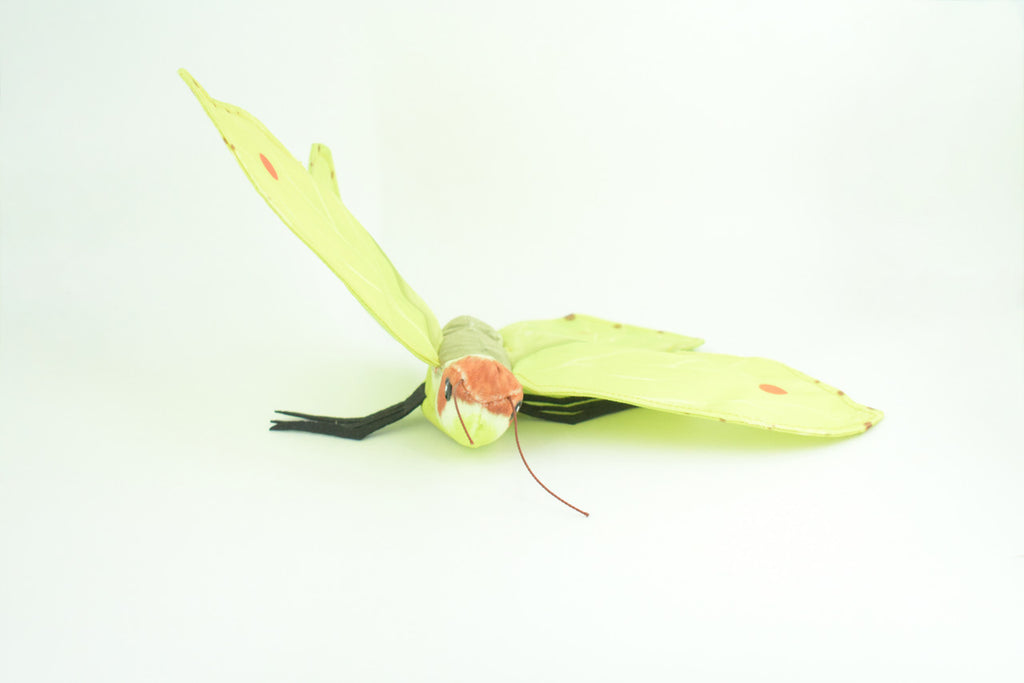 Common Brimstone Butterfly, Finger Puppet, Very Nice Plush, Insect, Realistic, Educational, Toy, Kids, Gift,   15 Inches. WR35 BB317