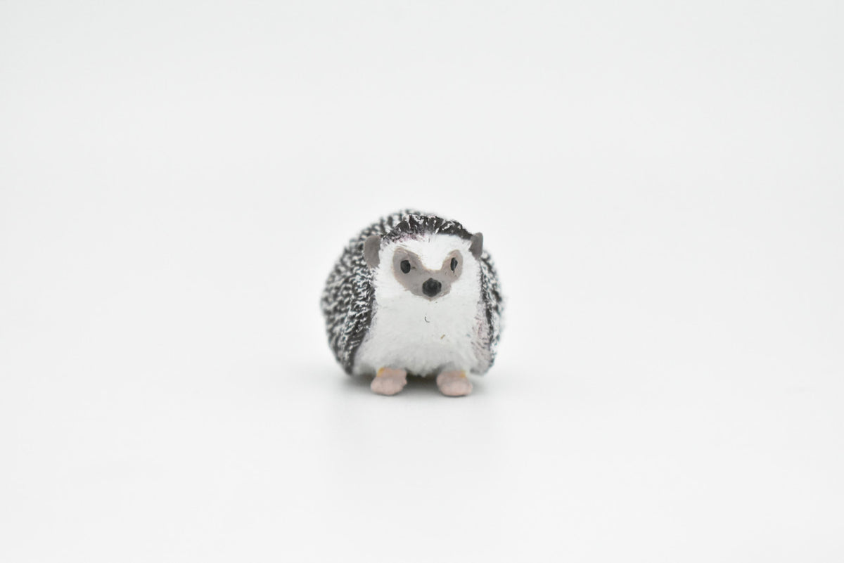 Hedgehog, Museum Quality Rubber Animal, Educational, Realistic Hand Painted Figure, Lifelike Figurine, Replica, Gift,         2"       CWG257 B241