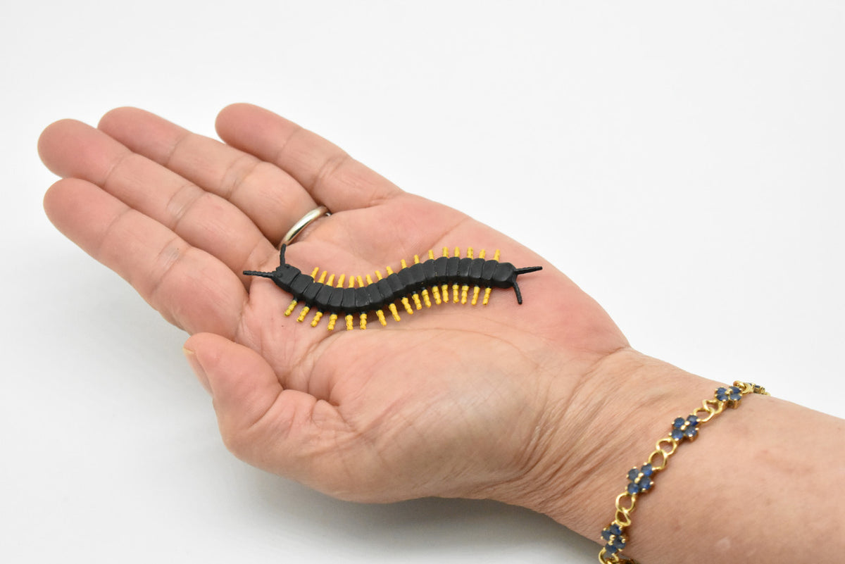 Centipede, Black, Very Nice Plastic Reproduction    3"    CWG296 B1