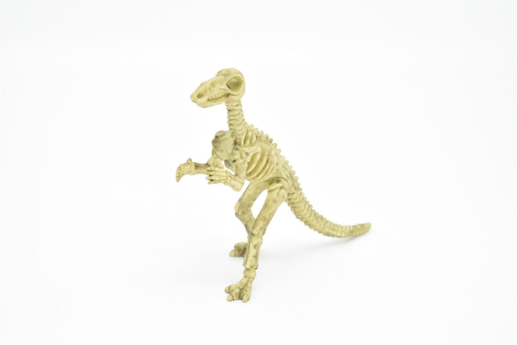 Iguanodon Dinosaur, Skeleton, Very Nice Plastic Replica   6"     F3288 B61
