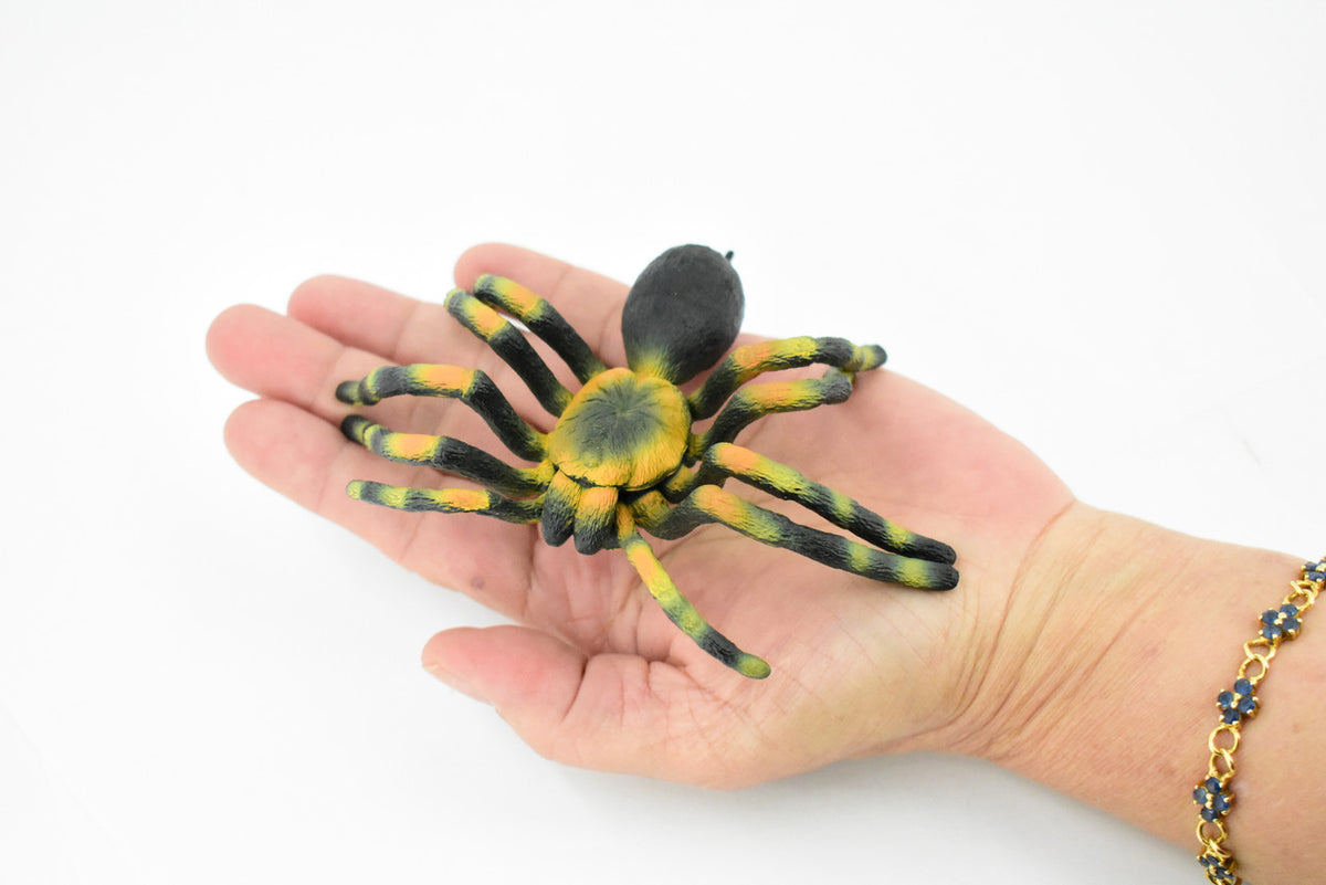 Giant Tarantula Spider, Arachnida, Museum Quality, Educational, Hand Painted, Rubber Insect, Diorama Model, Realistic, Kids, Toys,  5 Inches. 