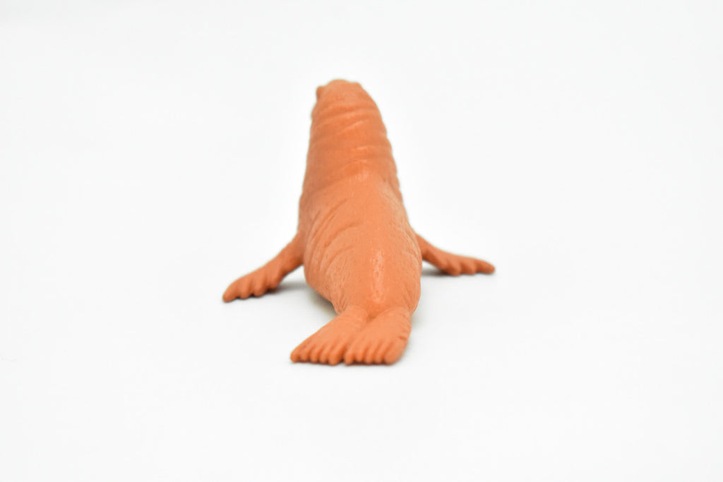 Walrus, Very Nice Plastic Replica    3"     F1114 B203