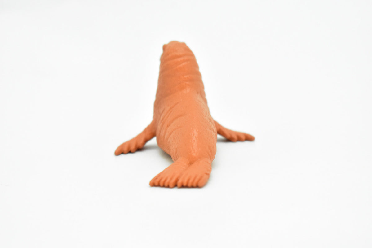 Walrus, Very Nice Plastic Replica    3"     F1114 B203