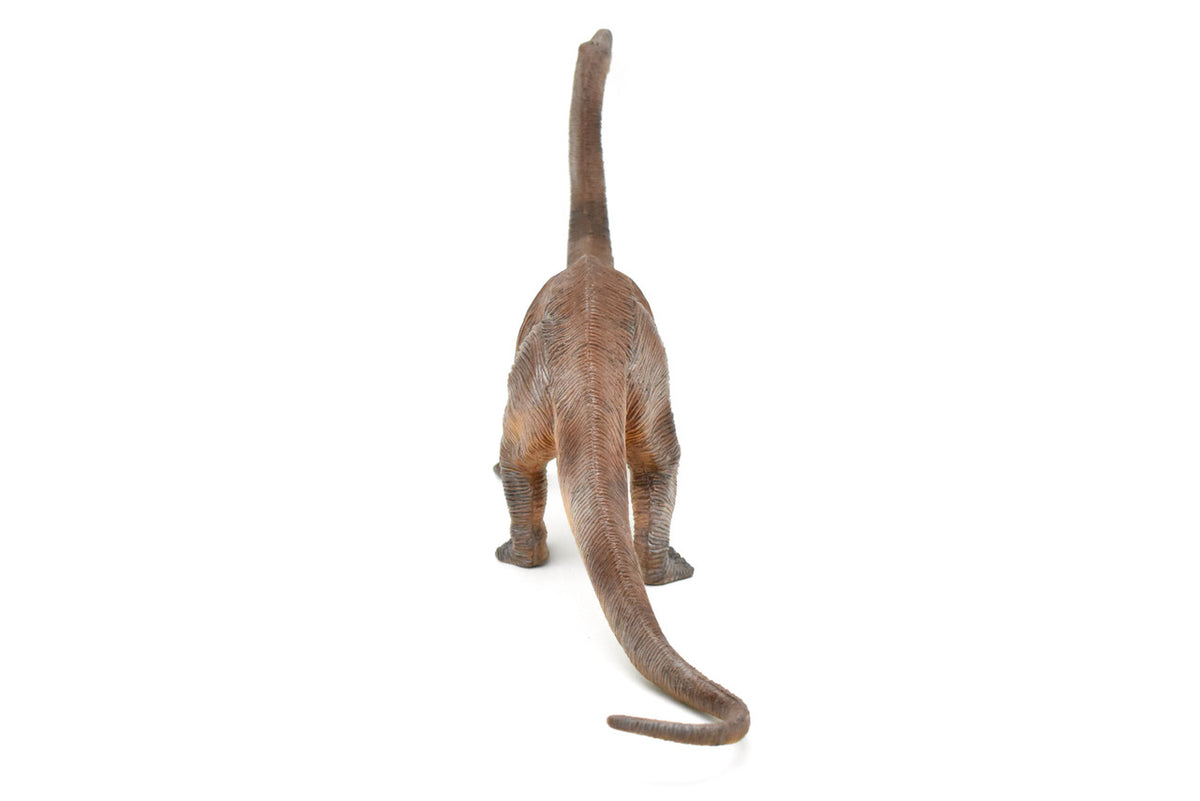 Apatosaurus, Dinosaur, Jurassic period, Museum Quality, Realistic, Educational, Hand Painted, Lifelike Design, Diorama Model, Replica, Toy, Gift    16 Inches        CWG159 BB35