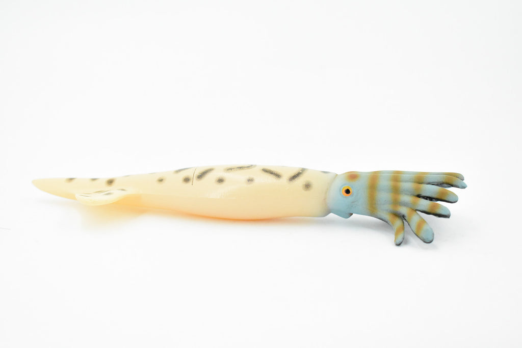 Squid, Reef Squid, Museum Quality, Hand Painted, Rubber, Educational, Realistic, Figure, Lifelike Figurine, Replica, Gift,      6"    CH277 BB125