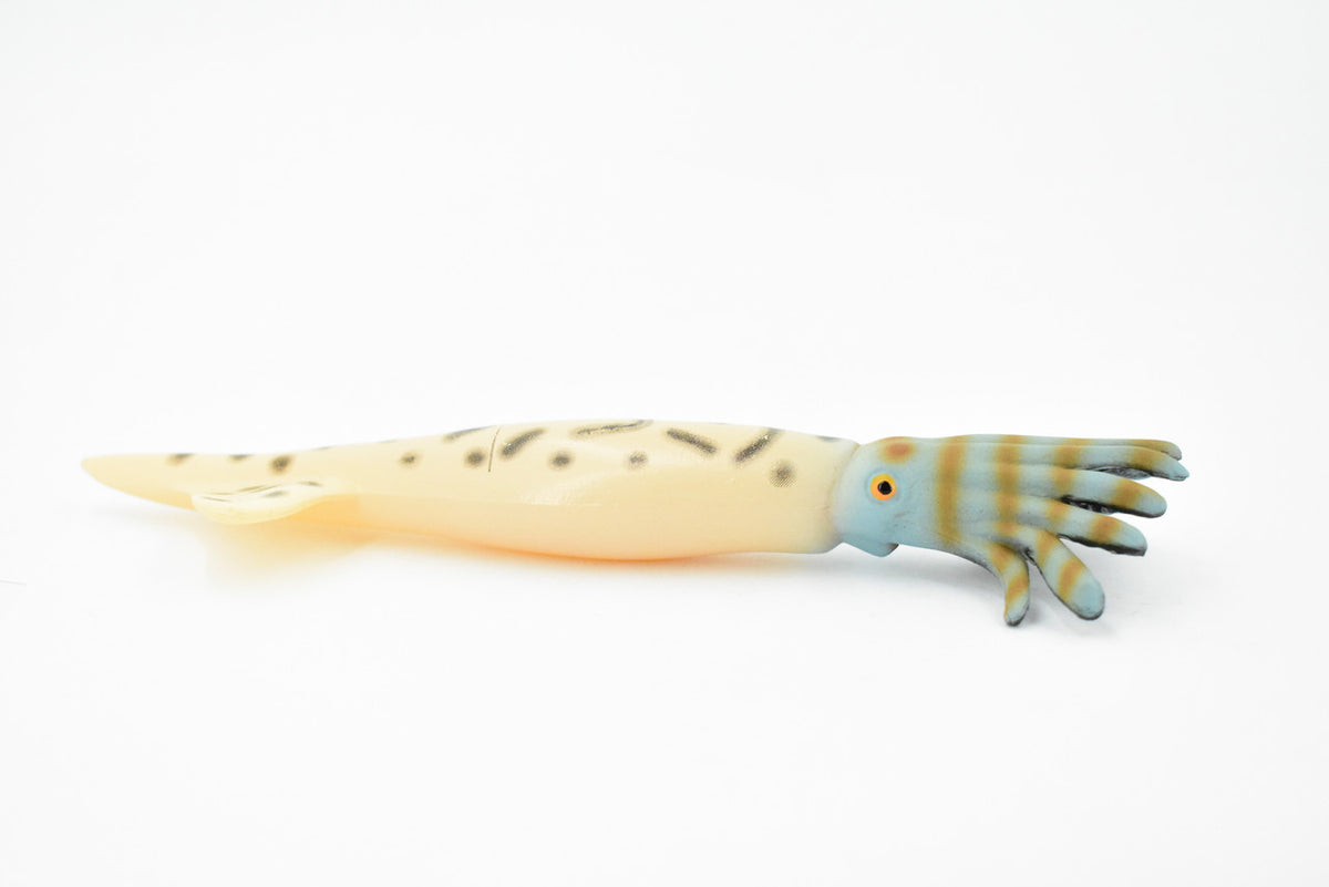Squid, Reef Squid, Museum Quality, Hand Painted, Rubber, Educational, Realistic, Figure, Lifelike Figurine, Replica, Gift,      6"    CH277 BB125