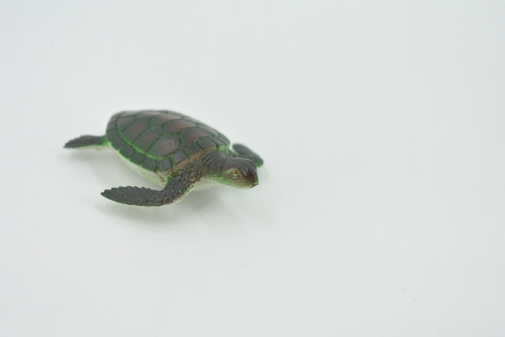 Sea Turtle, Rubber, Hand Painted, Turtle Design, Realistic Figure, Educational, Figure, Lifelike, Model, Figurine, Replica, Gift,      2"     F591 B35