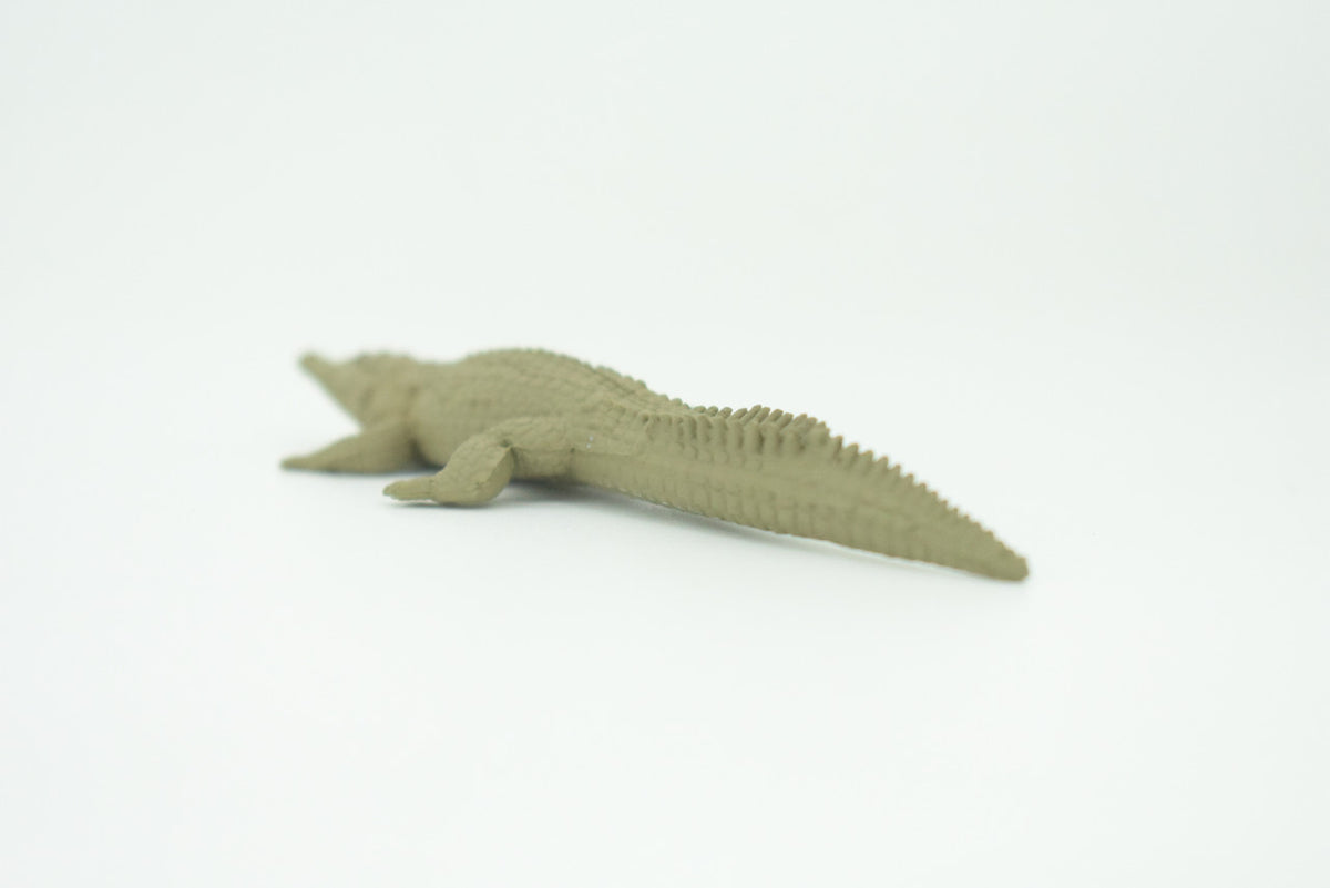 American Crocodile, Crocodylus acutus, Saltwater Crocodile, Educational, Rubber Reptile, Realistic Figure, Lifelike, Gift,    4 1/4"    SF41 B15