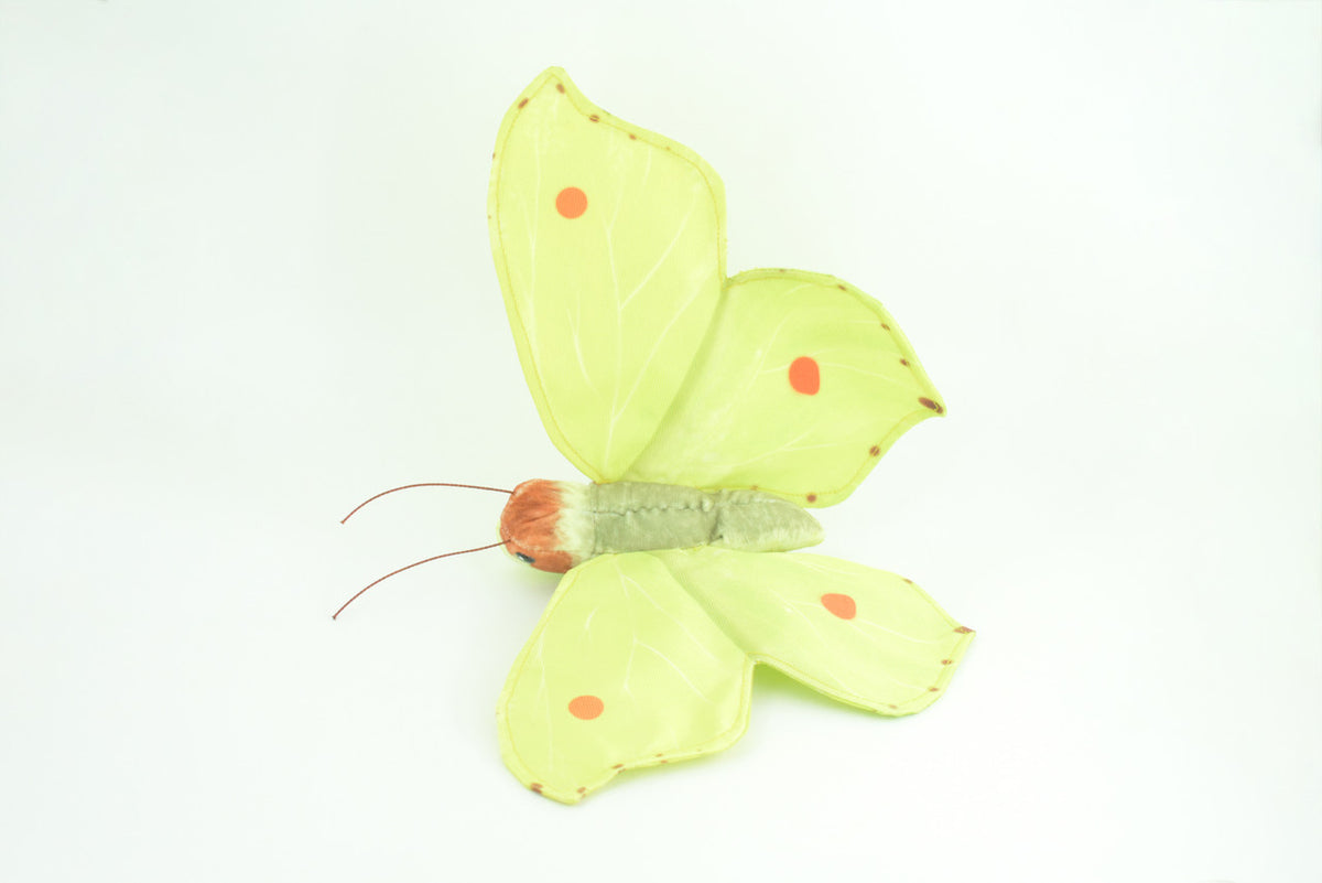 Common Brimstone Butterfly, Finger Puppet, Very Nice Plush, Insect, Realistic, Educational, Toy, Kids, Gift,   15 Inches. WR35 BB317