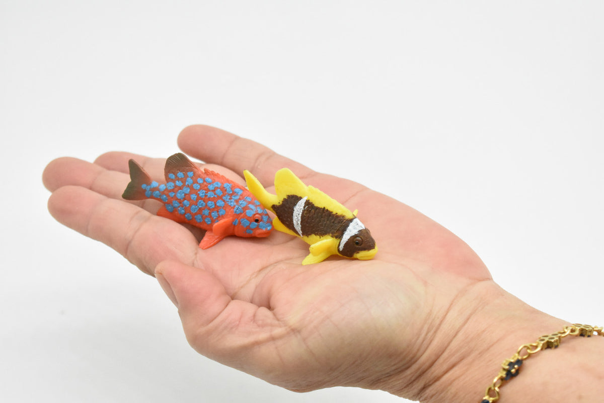 Tropical Fish, Saltwater, Set of 2, Realistic, Plastic, Fish Design, Educational, Hand Painted, Figure, Lifelike, Model, Replica, Gift      2"   CWG217 BB46