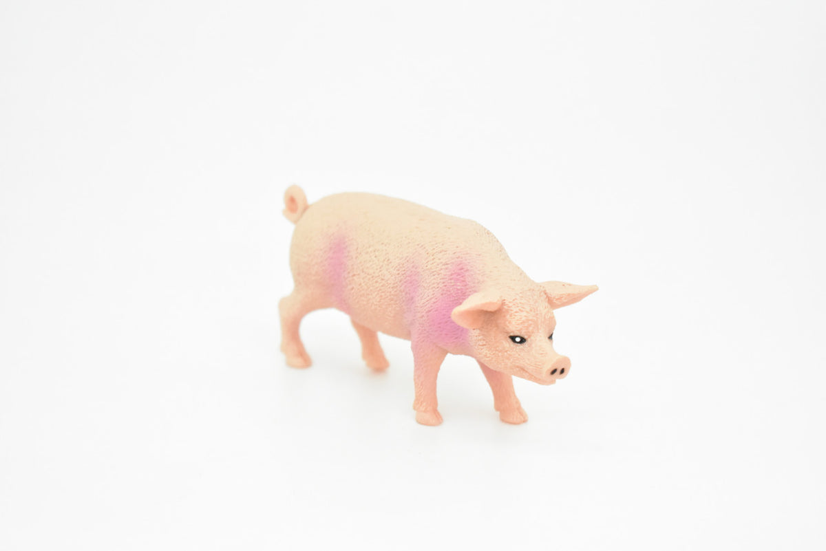 Pig, Swine, Domestic, Hog, Very Realistic Rubber Reproduction, Hand Painted Figurines     3.5"      CH147 B246