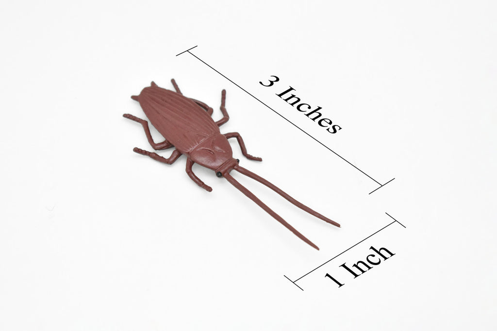 Cockroach, Rubber Toy Insect, Realistic Figure, Model, Replica, Kids Educational Gift,     3  inches long     F1652 B74