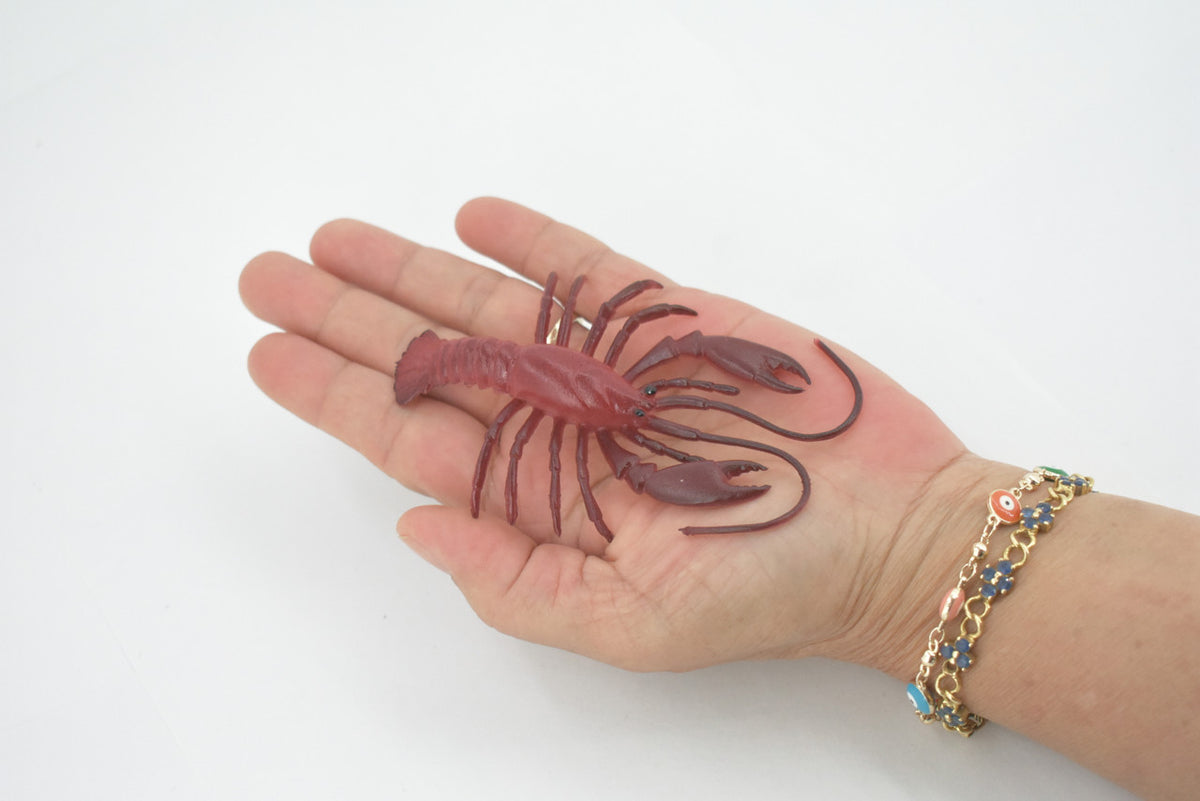 Lobster, Crayfish, Crawdad Design, Red, Museum Quality, Rubber Crustaceans, Educational, Figure, Lifelike, Model, Replica, Gift,     4"     F0023 B22