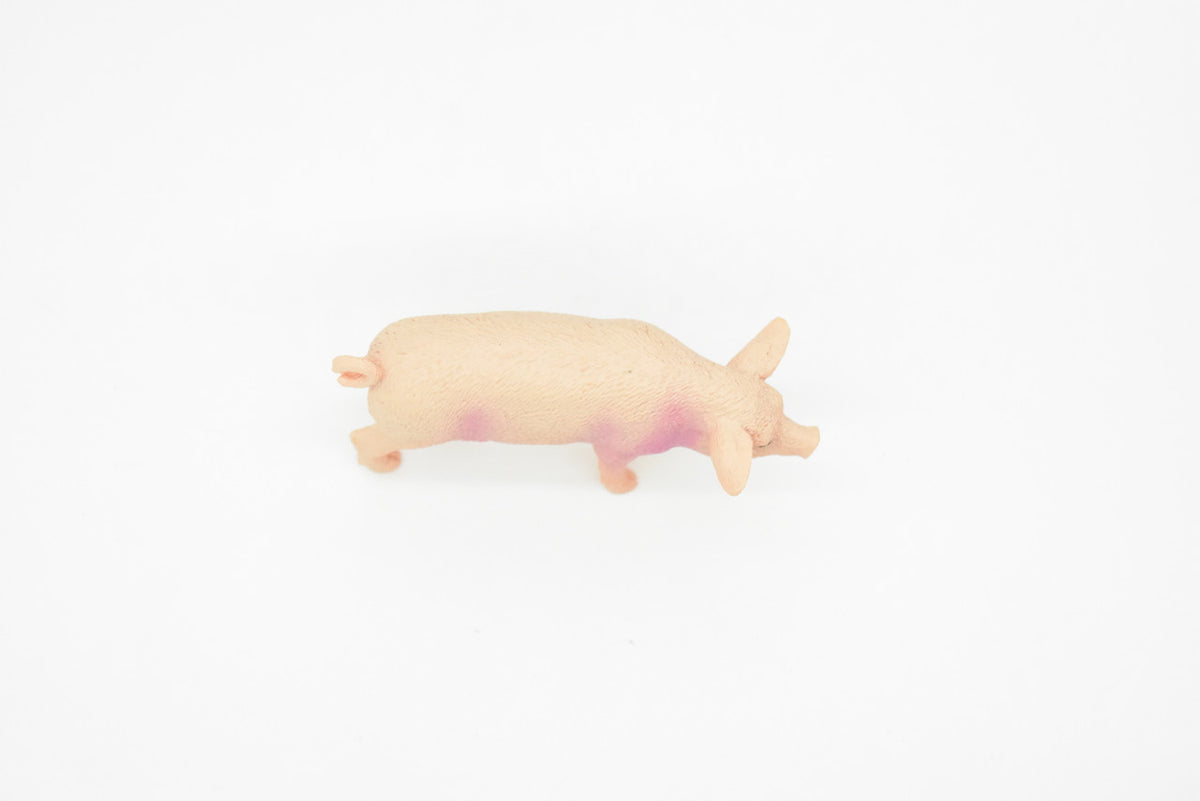 Pig, Swine, Domestic, Hog, Very Realistic Rubber Reproduction, Hand Painted Figurines     3.5"      CH147 B246
