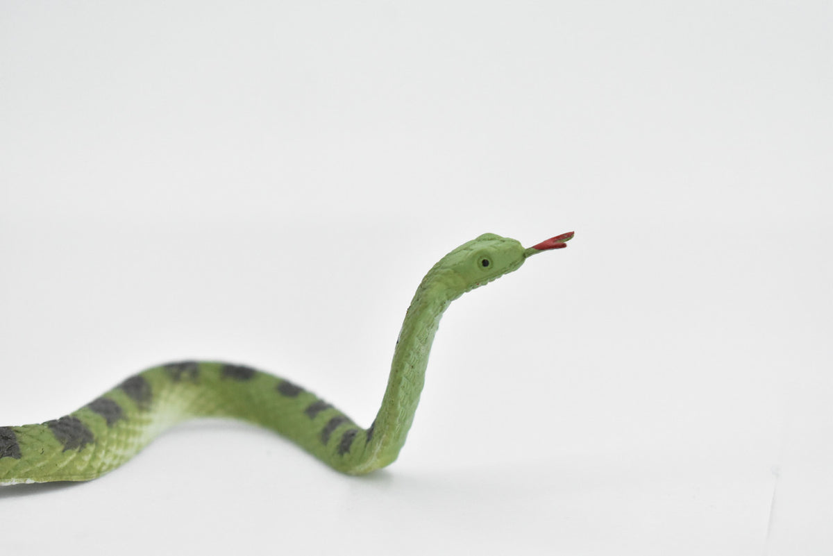 King Cobra Snake, Green, Rubber Reptile, Educational, Realistic Hand Painted, Figure, Lifelike Model, Figurine, Replica, Gift, Toy,      9 Inches    F3598 B363