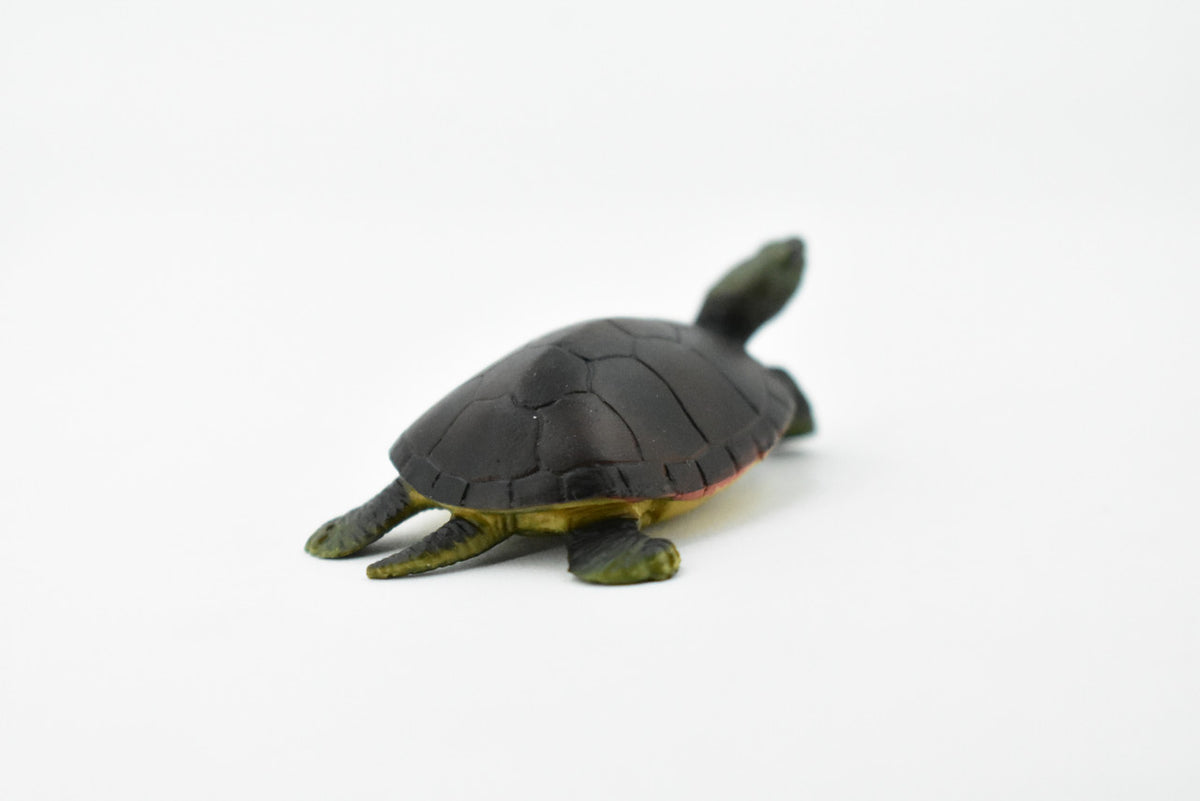 Turtle, Yellow Pond Turtle, Rubber Reptile, Hand Painted, Museum Quality, Educational, Realistic Toy Figure, Diorama Model, Kids, Gift,     2 1/2 Inches.     CH421 BB108