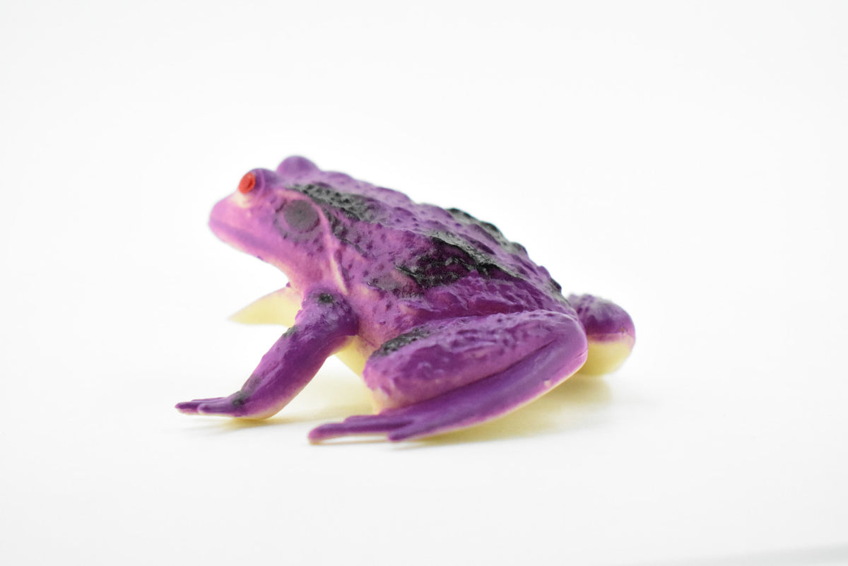 Frog, Purple Toad, Rubber Toy, Realistic, Rainforest Amphibian, Figure, Model, Replica, Kids, Educational, Gift,     3"     F6090 B3