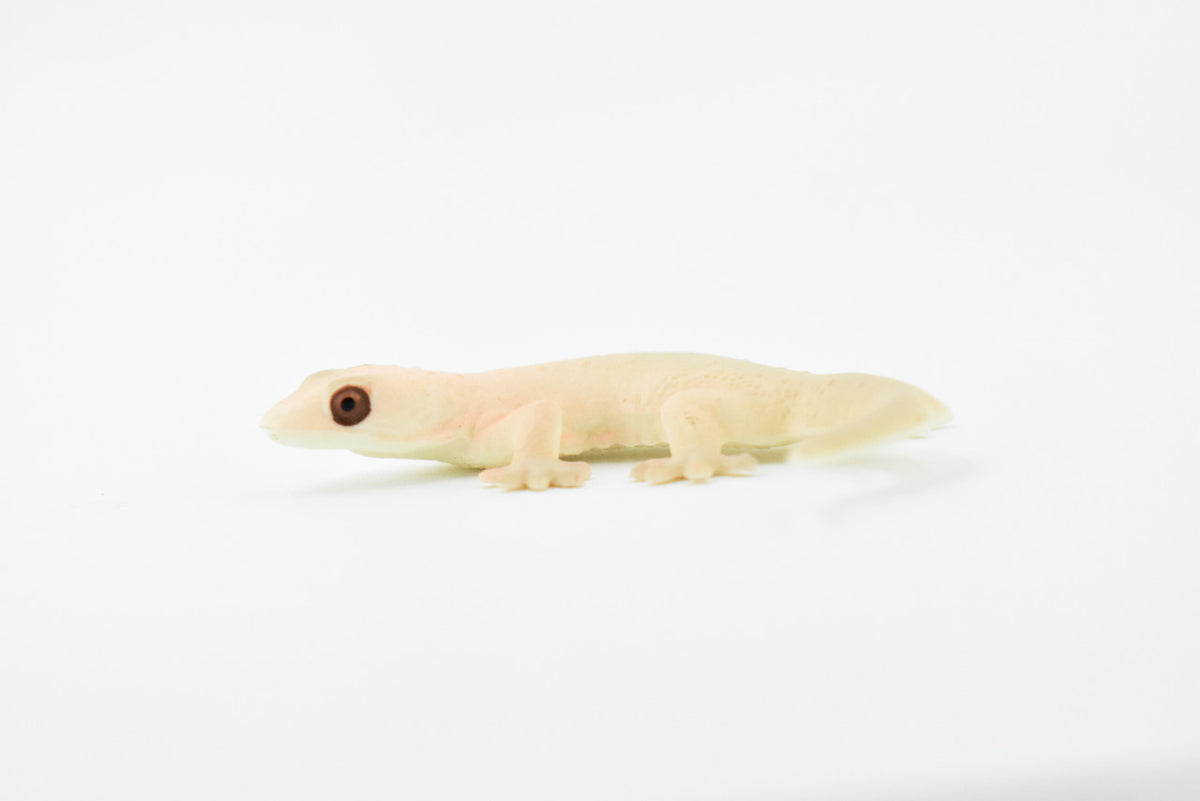 Gecko, Spiny Tailed, Strophurus ciliaris, Lizard, Reptile, Hand Painted, Realistic Toy Figure, Model, Replica, Kids, Educational, Gift,       2 1/2"     CH221 BB119