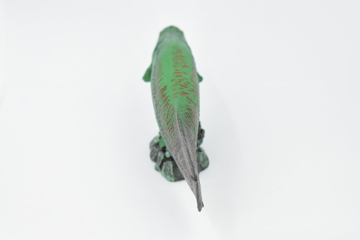 Fish, Arapaima, Green, Museum Quality, Hand Painted, Rubber Fish, Realistic Toy Figure, Model, Replica, Kids, Educational, Gift,     7 "    CH320 BB132