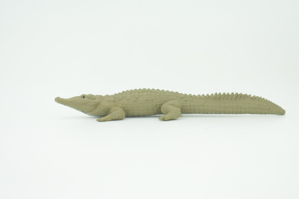 American Crocodile, Crocodylus acutus, Saltwater Crocodile, Educational, Rubber Reptile, Realistic Figure, Lifelike, Gift,    4 1/4"    SF41 B15