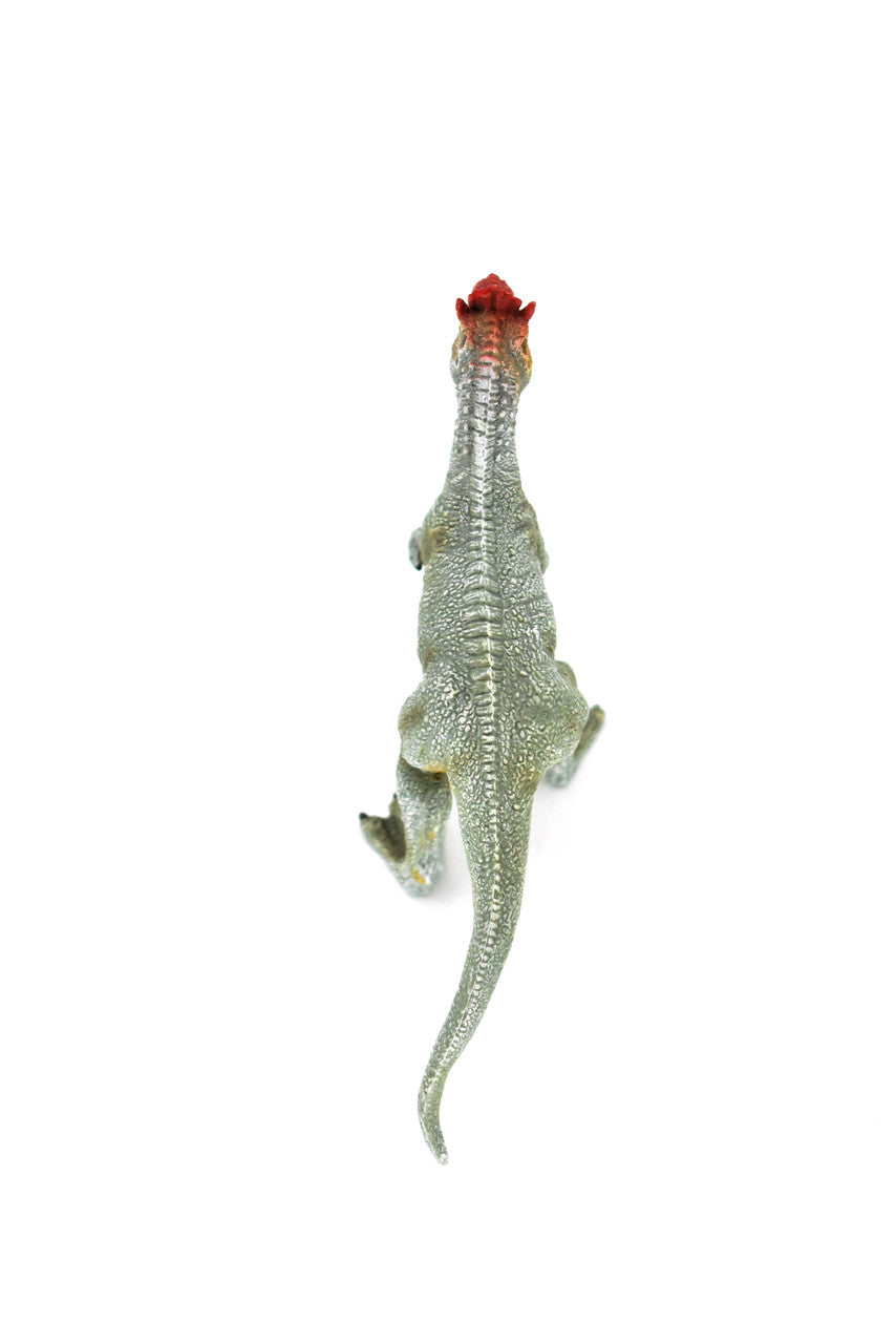 Cryolophosaurus Dinosaur, Theropod dinosaur, Museum Quality, Educational, Realistic Hand Painted, Diorama Figure, Lifelike Model, Vintage Design, Toy, Gift,    6 Inches.   F3248 B144
